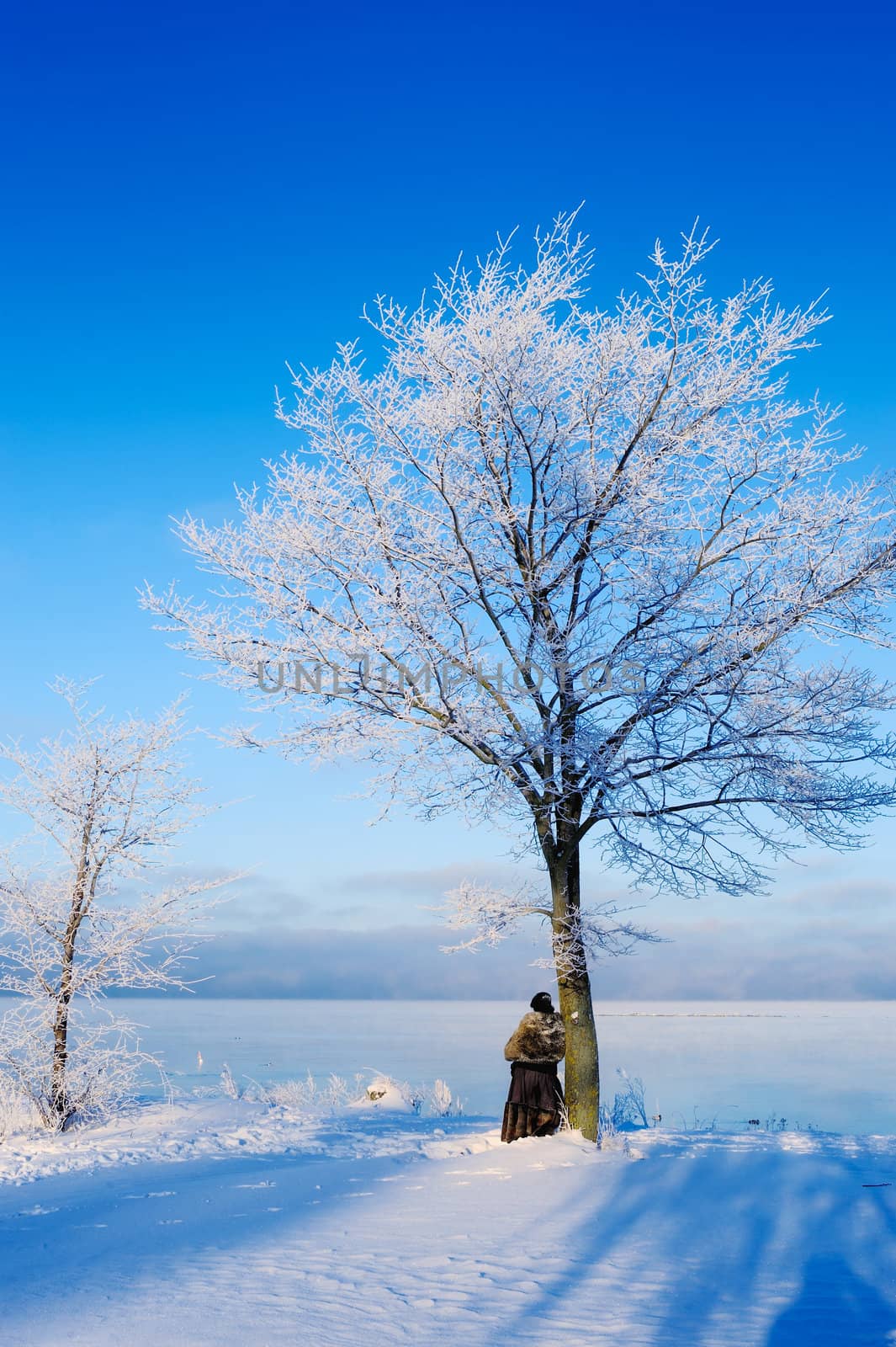 Woman stands near a tree on the icy shore