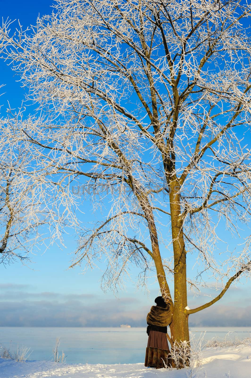 Woman stands near a tree on the bank of a frozen sea