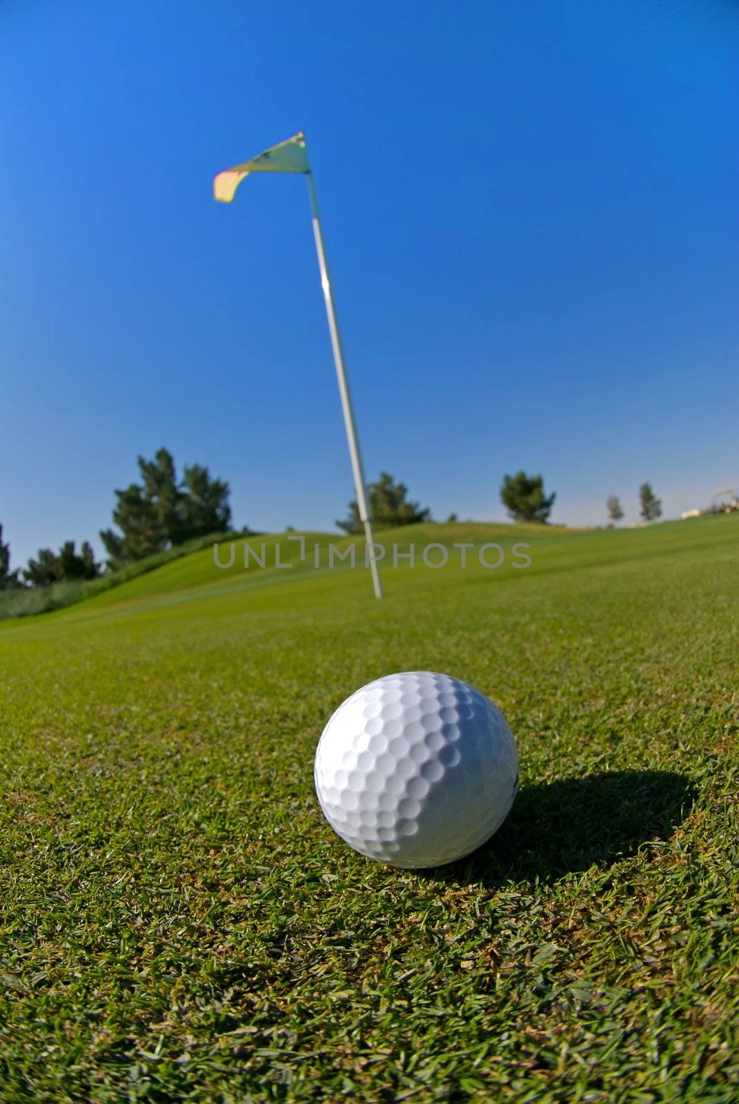 Image of a golf ball on green