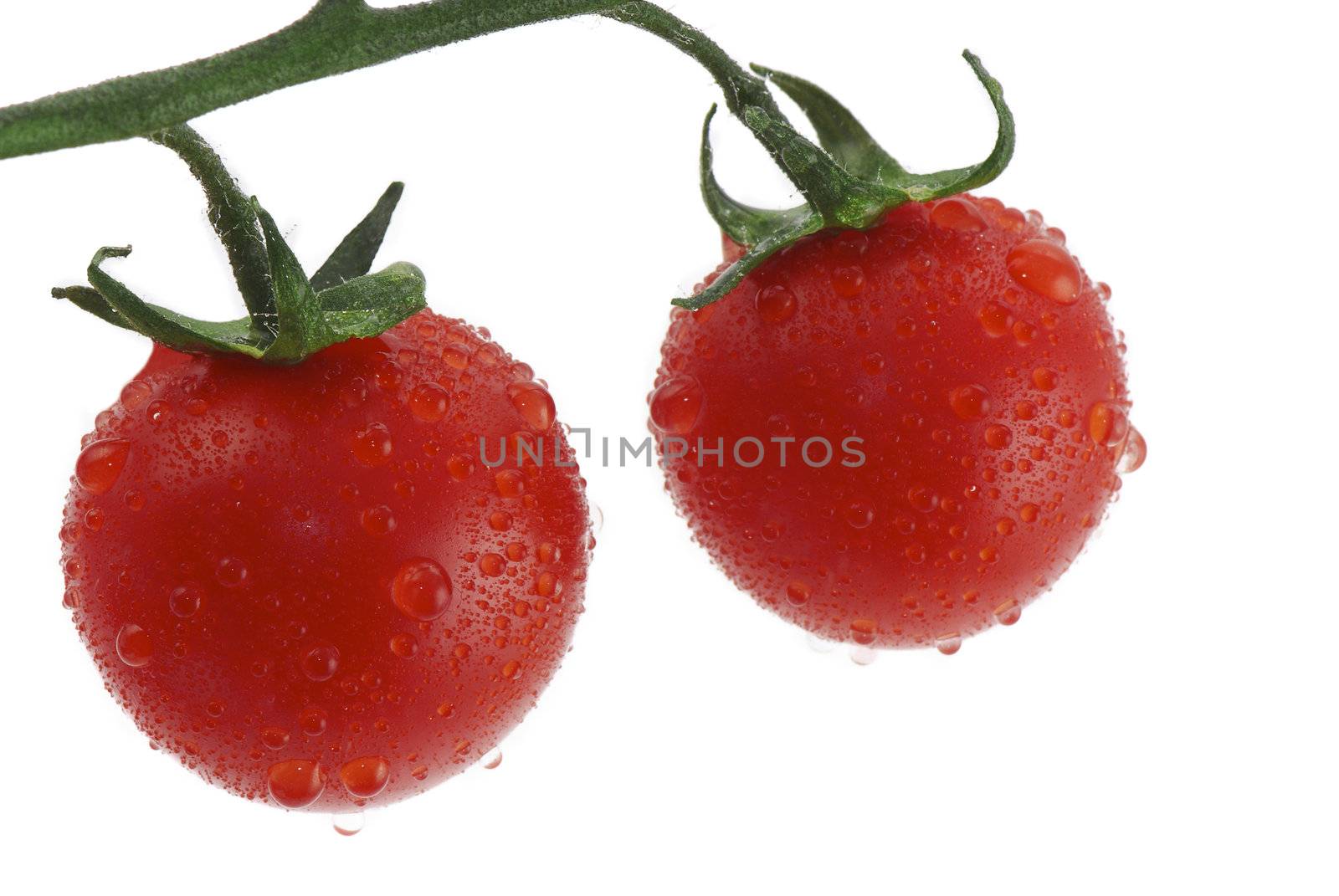 Mini tomatoes by Kamensky