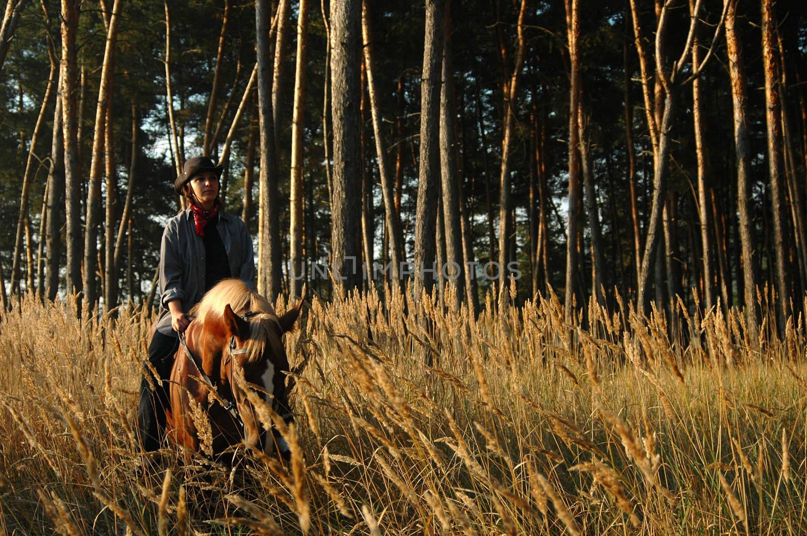 Cowboy with a horse in the field of wheat