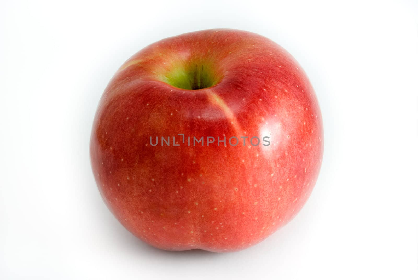  Red apple are photographed on a white background
