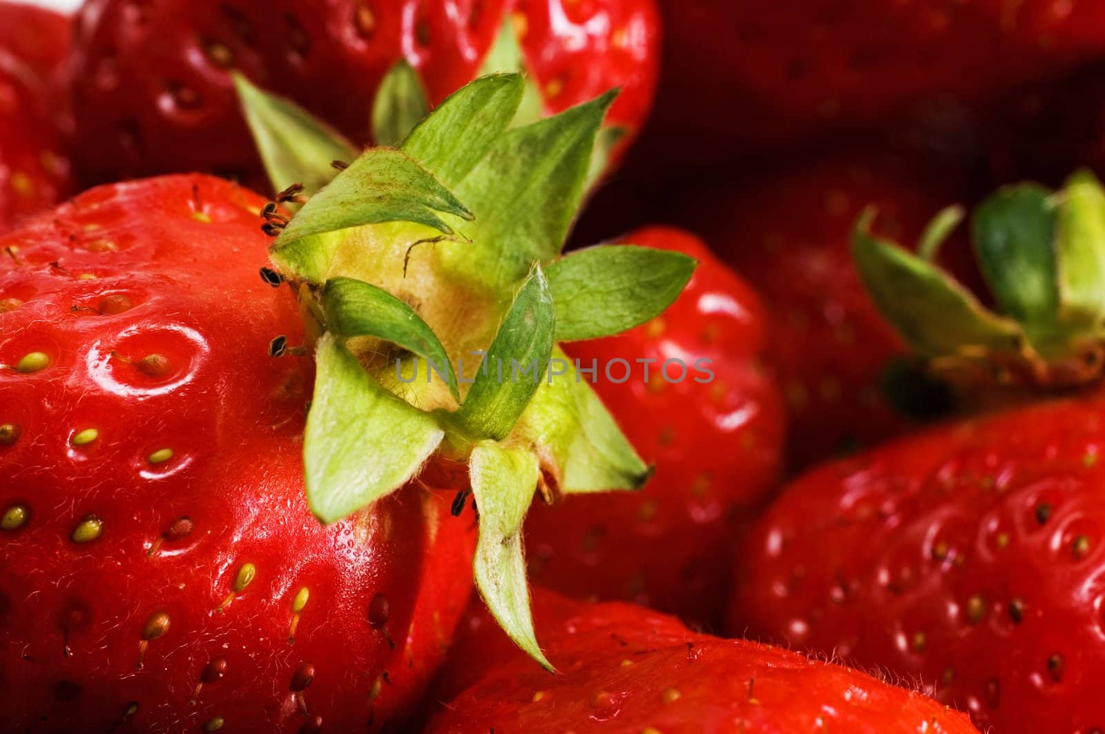 Macro shot of a bunch of strawberries with shallow depth of field