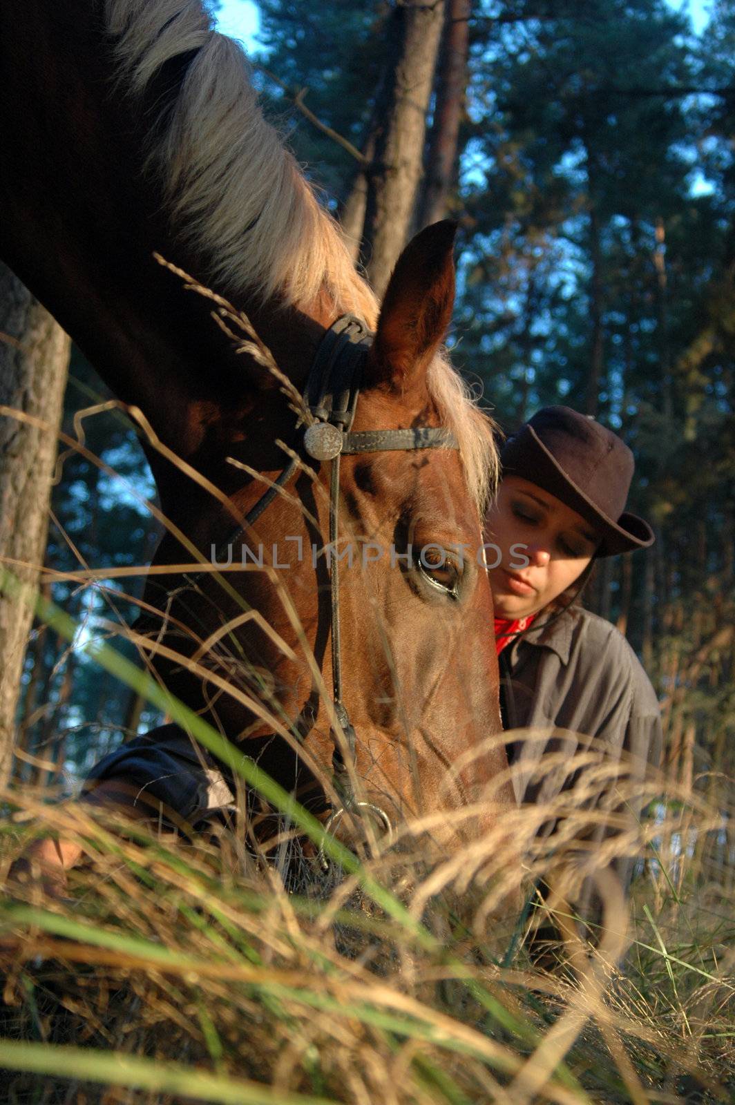 Horse with a cow-boy, close-up