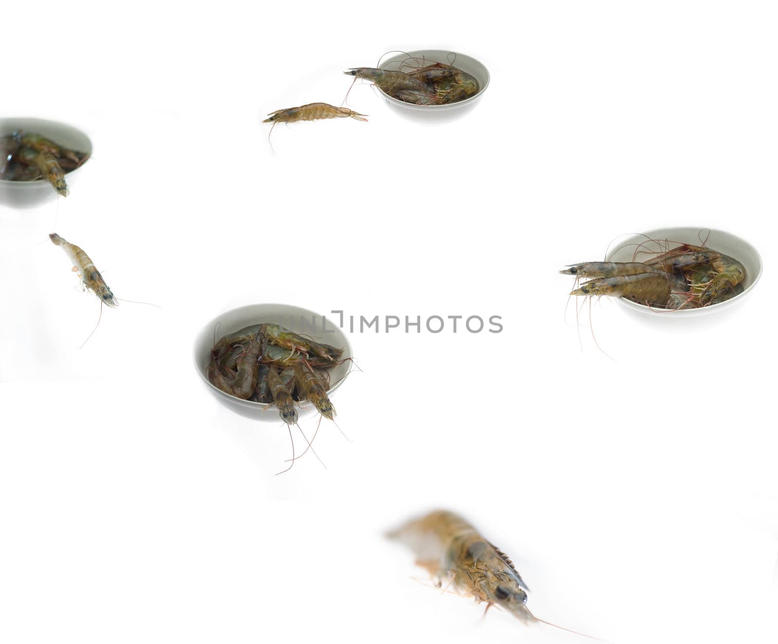 raw fresh alive shrimps escaping from four  bowls over white background