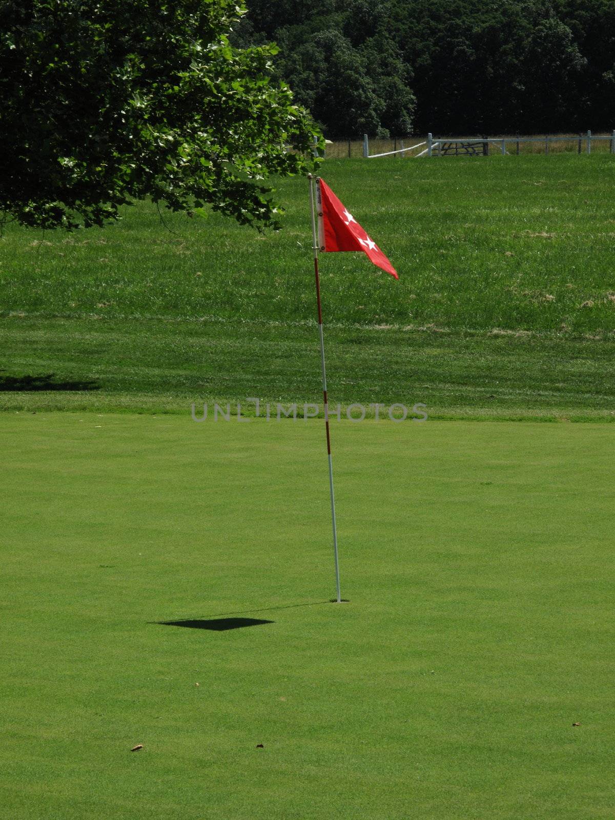 Golf Green and Flag by Ffooter