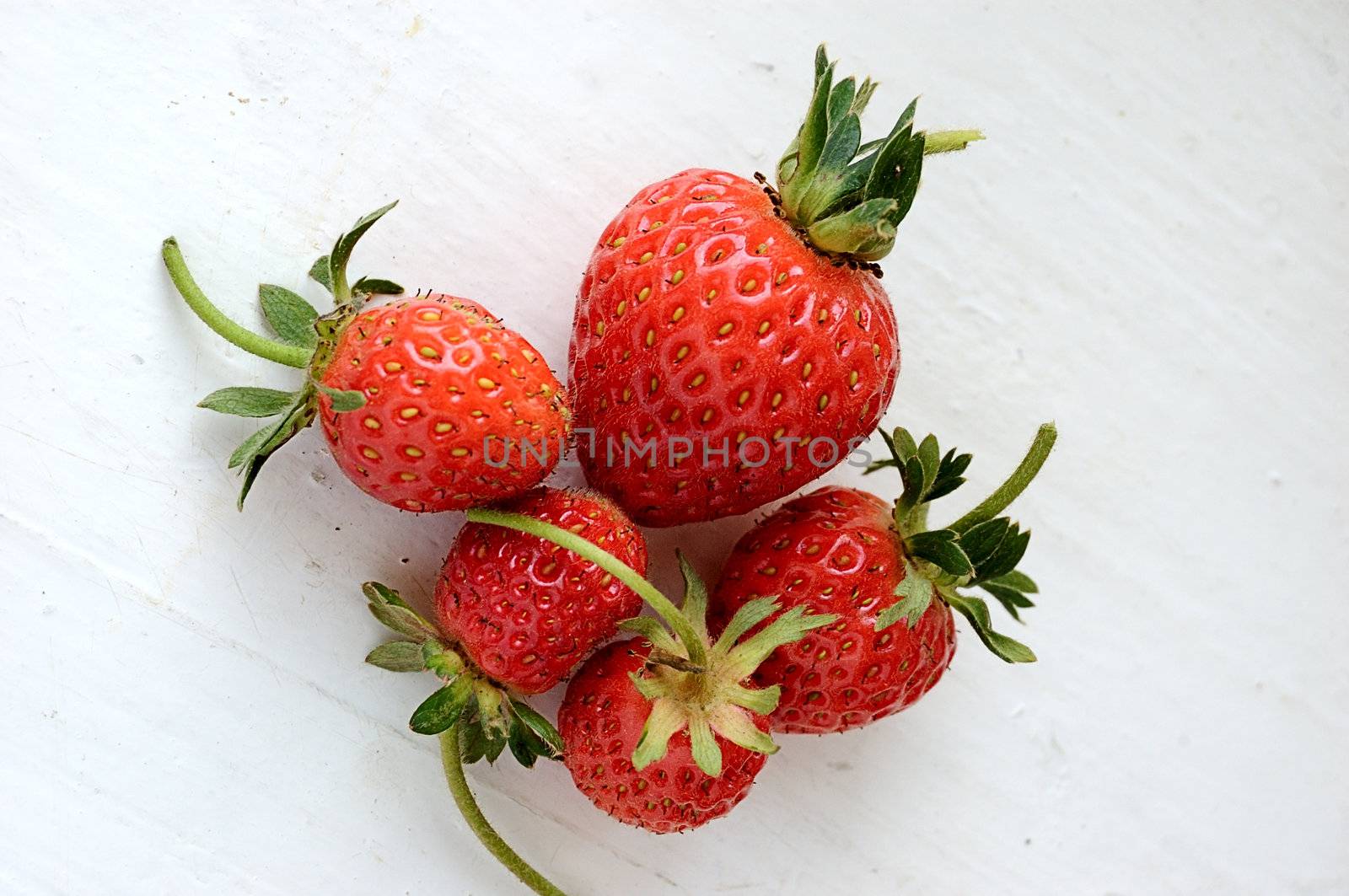 strawberries by mettus
