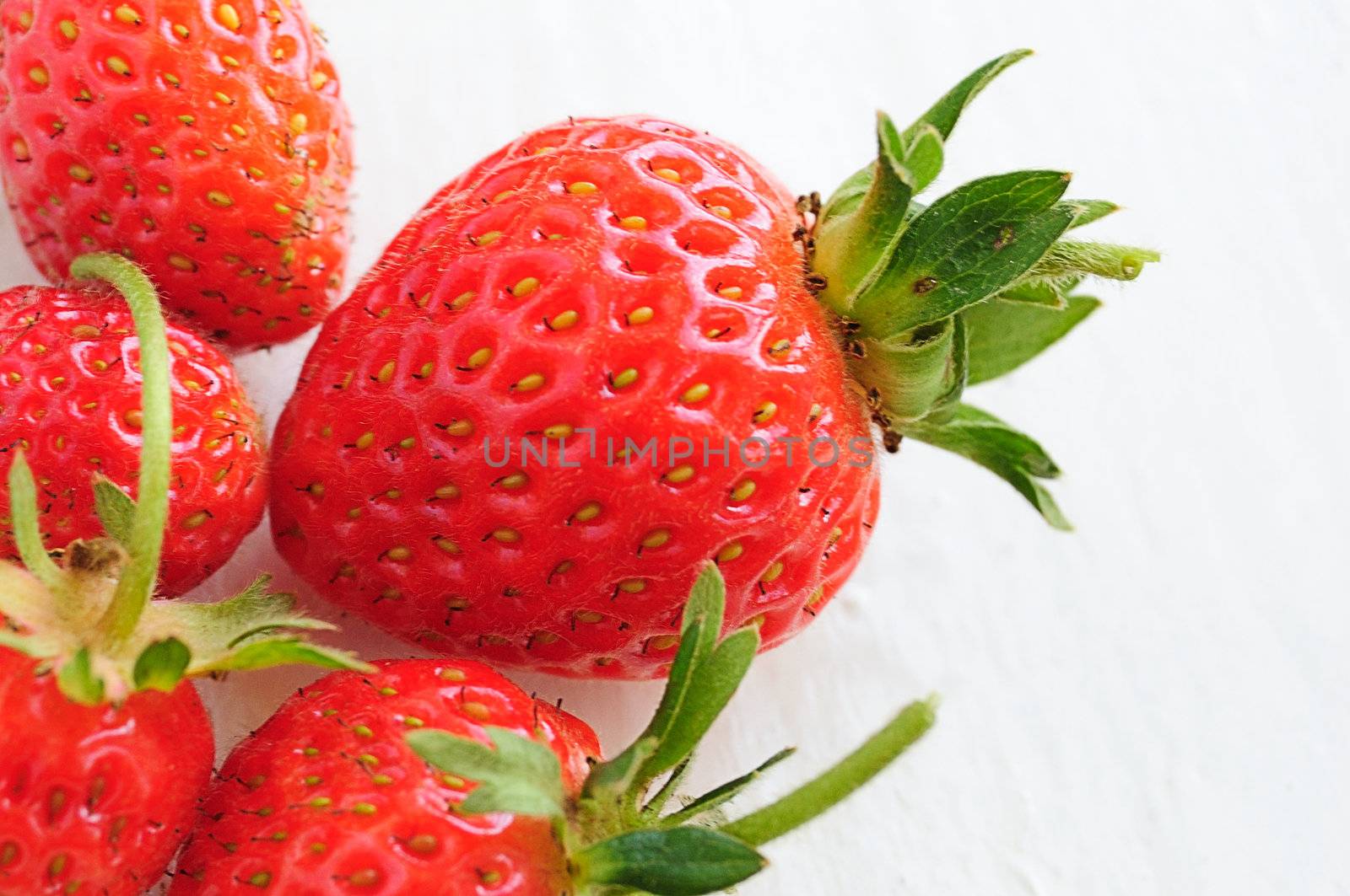 set of fresh strawberries, garden strawberry (Fragaria)