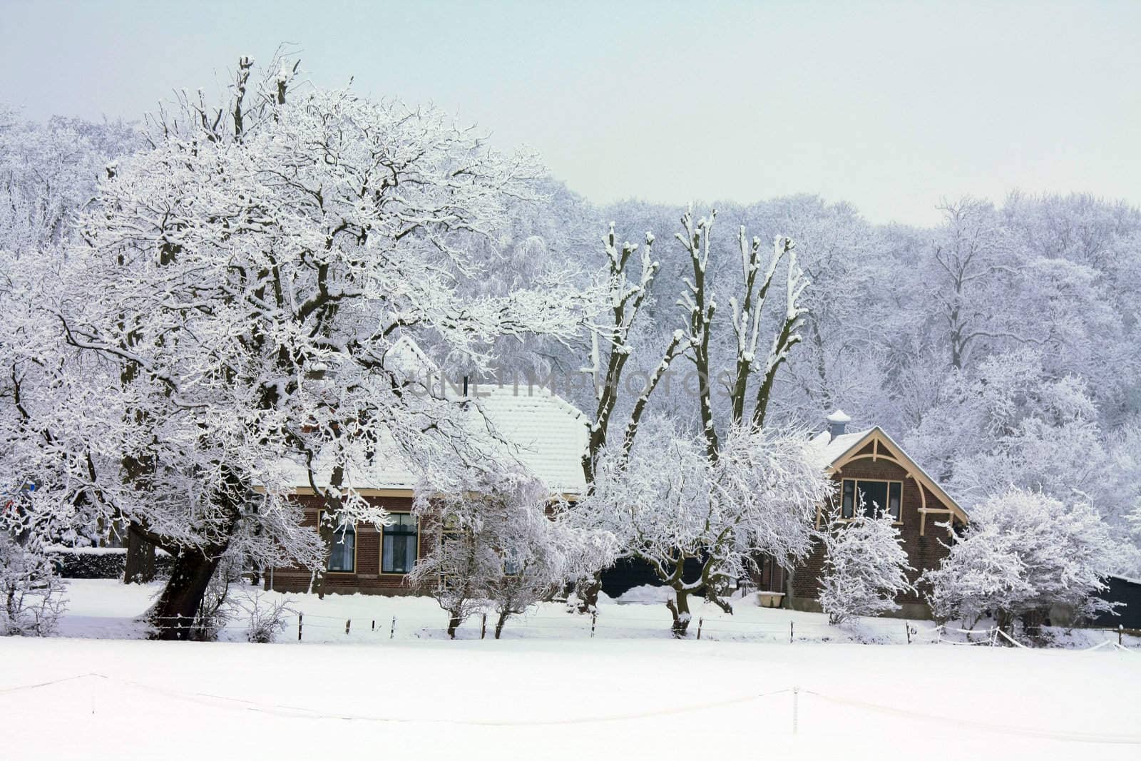 A small farm in a frosted winter landscape