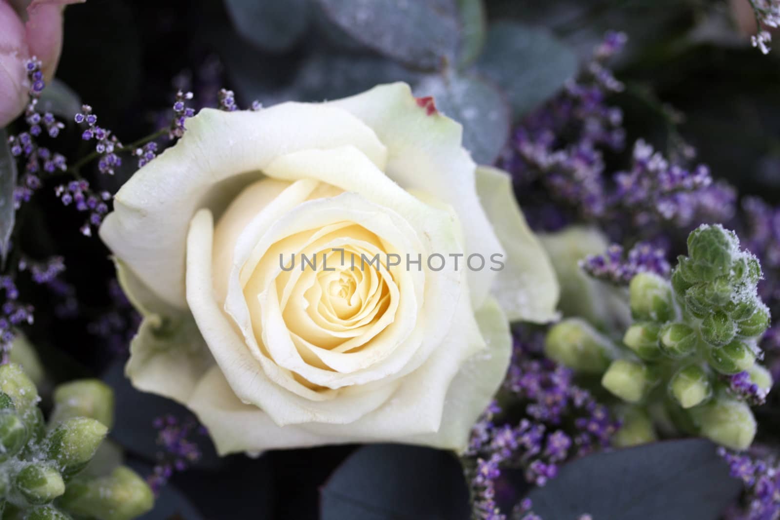 white rose flower arrangement by studioportosabbia