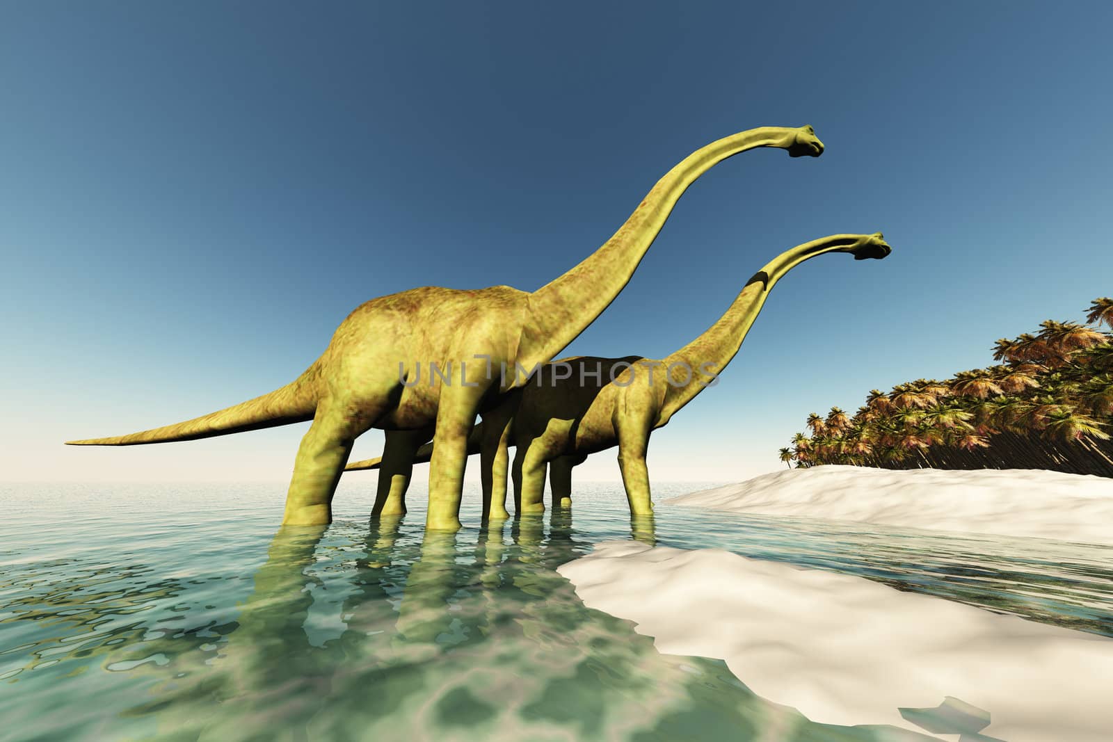 Two Diplodocus dinosaurs wade through shallow waters to get to the vegetation on this island.