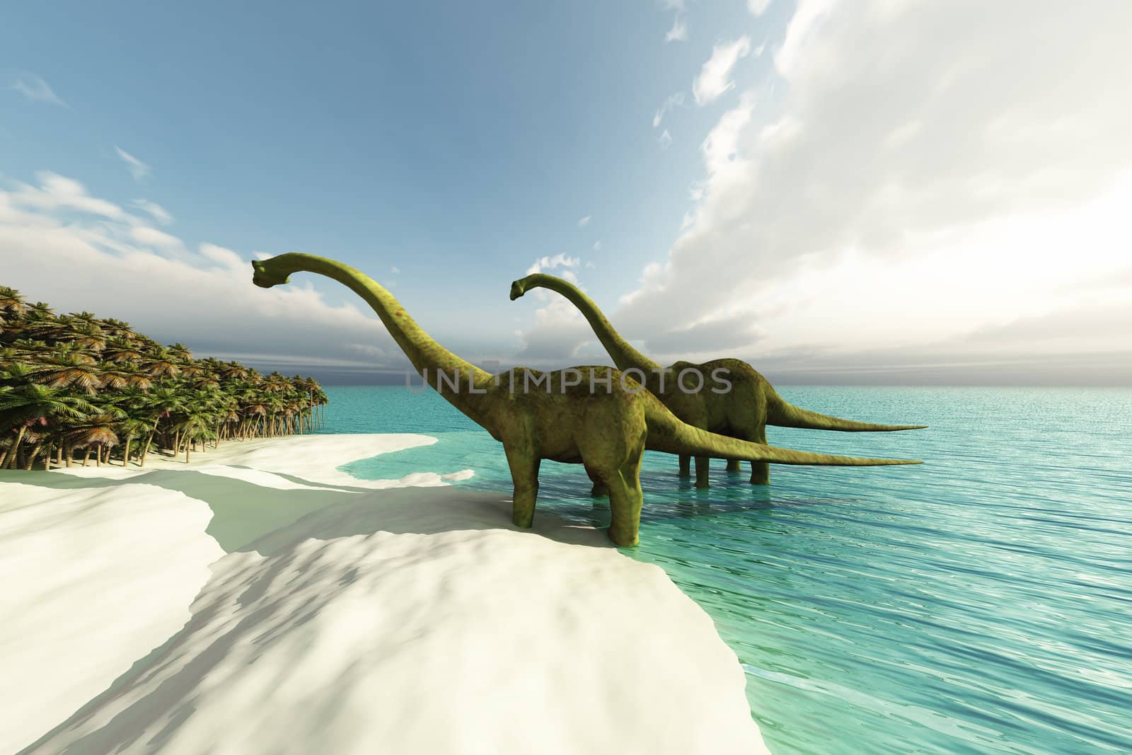 Two Diplodocus dinosaurs wade is shallow waters of a white sand beach.