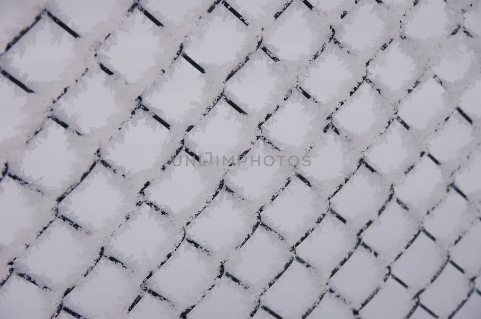 A steel feence covered with frost and snow