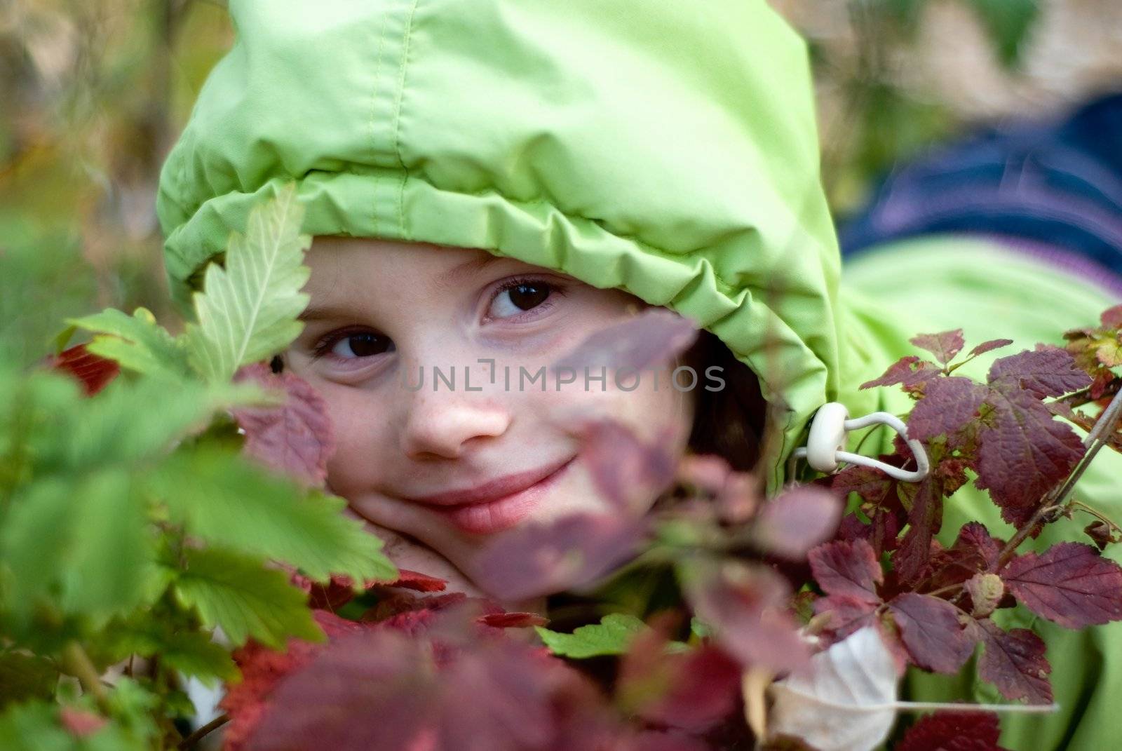 smiling little girl in the hood hiding behind autumn leaves