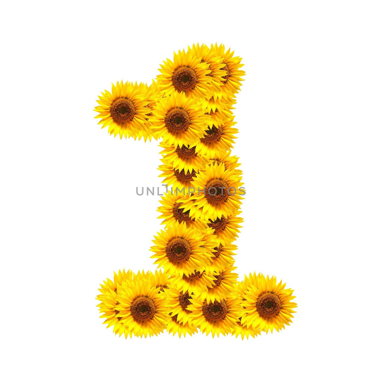 flower alphabet and numbers with sunflowers isolated on white background