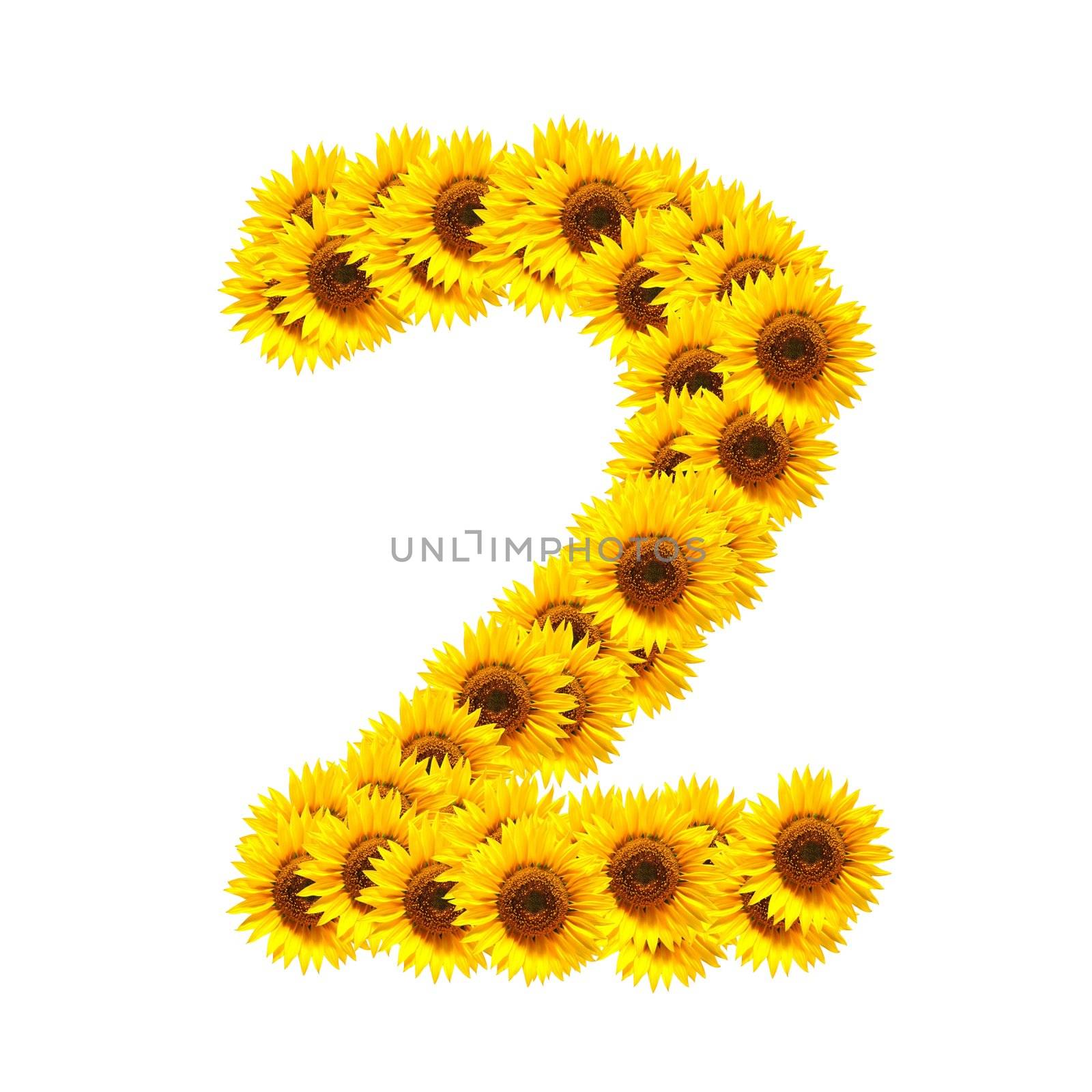 flower alphabet and numbers with sunflowers isolated on white background