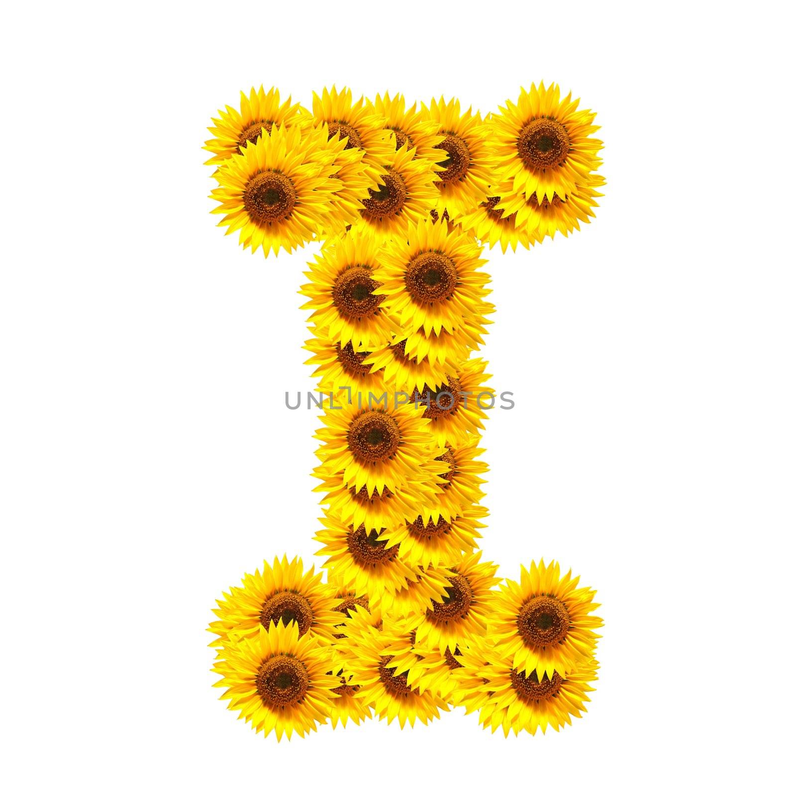 flower alphabet and numbers with sunflowers isolated on white background