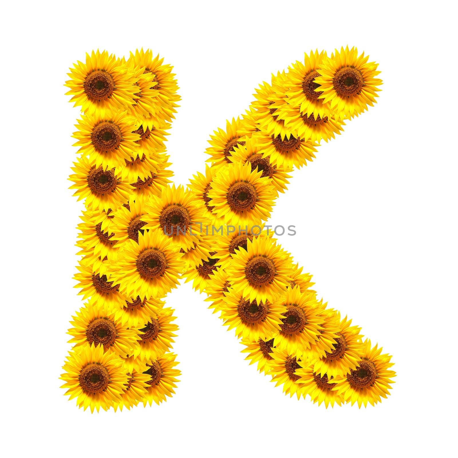 alphabet of flowers by gunnar3000