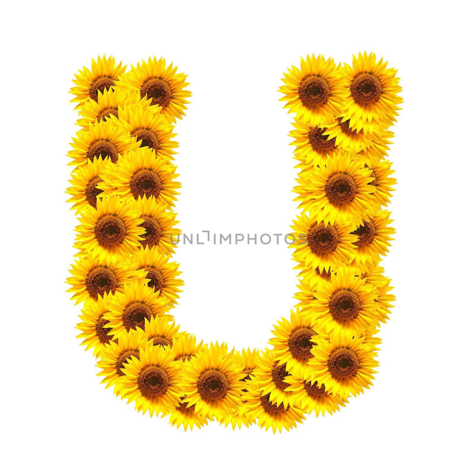 alphabet of flowers by gunnar3000
