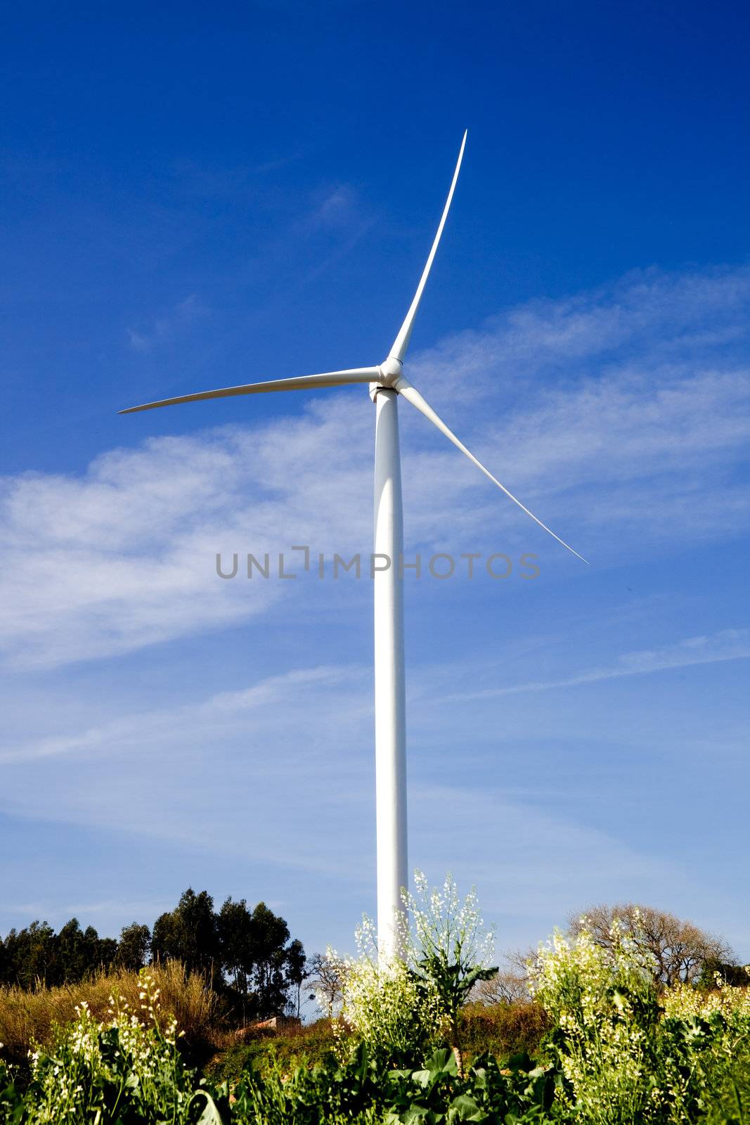 Wind turbine on a beautiful green meadow, energy concept