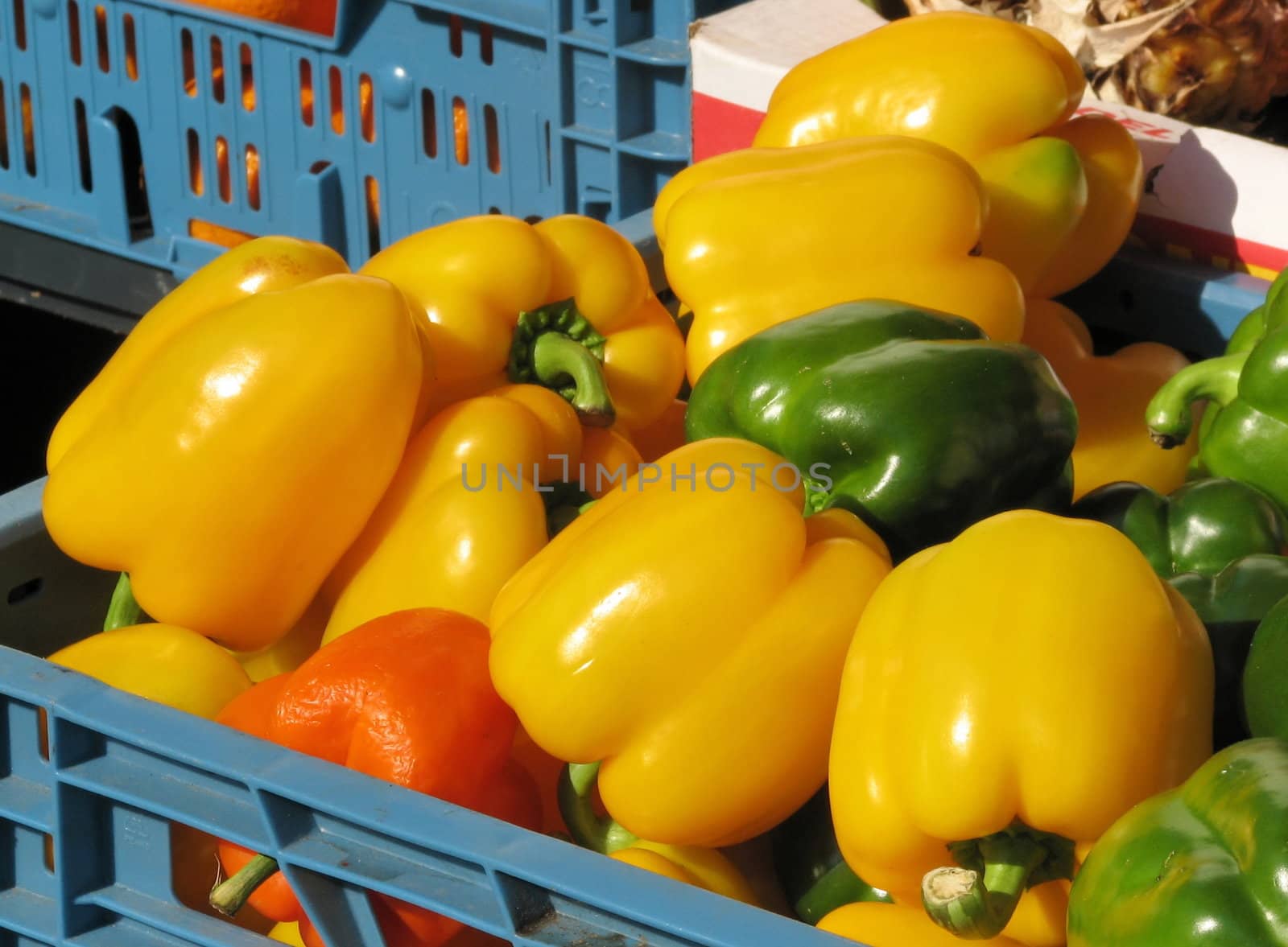 Paprika vegetables