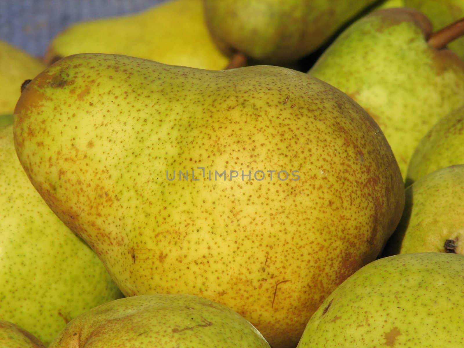 Pear fruit