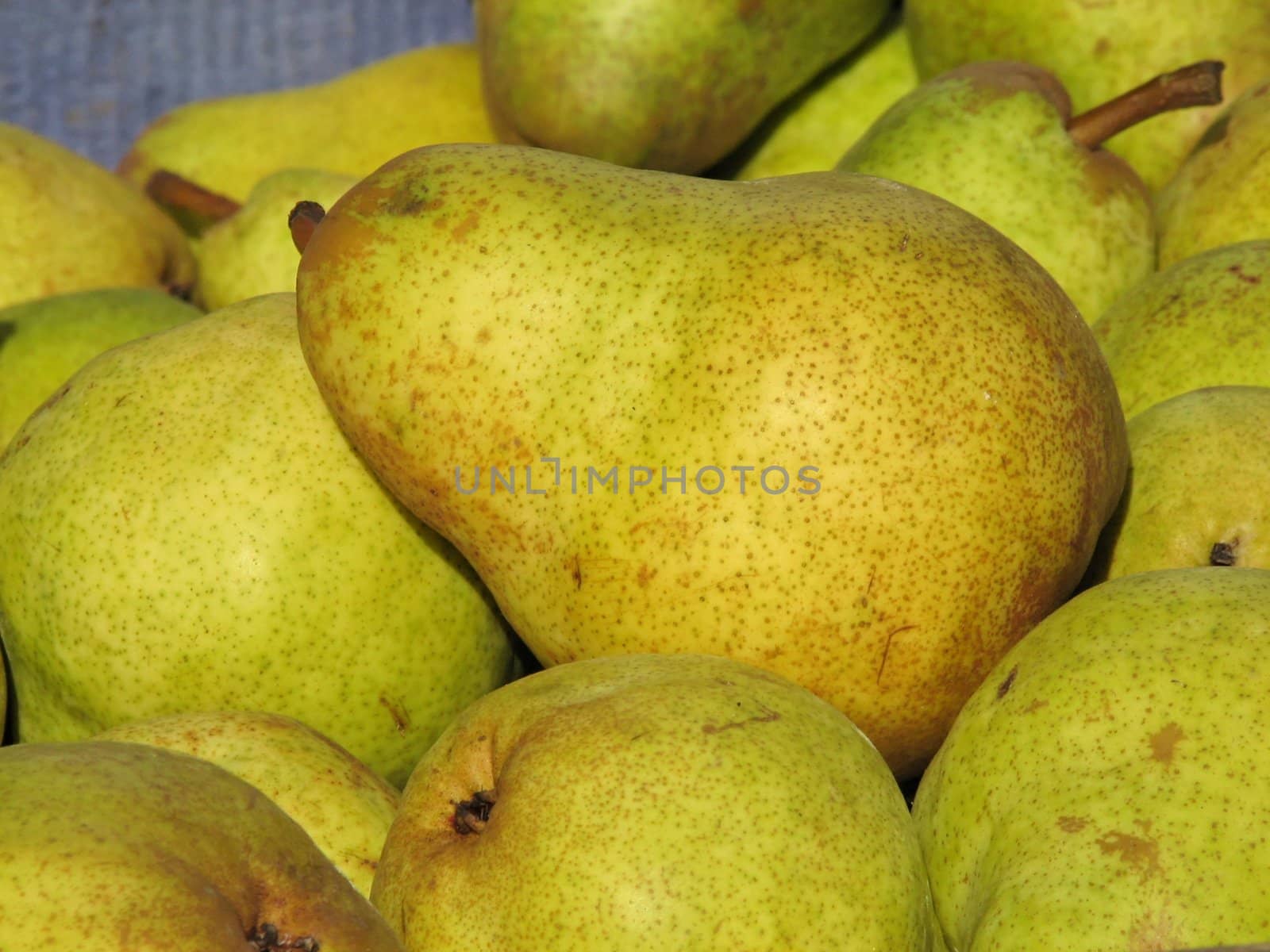 Pear fruit