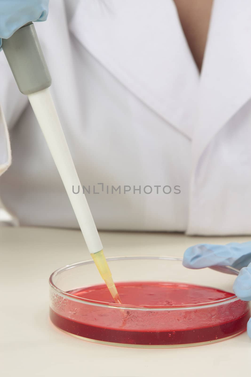 A scientist at work in a laboratory.