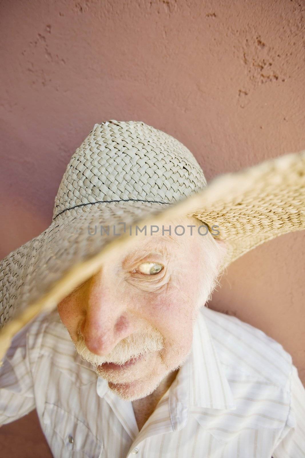 Senior Citizen Man in a Cowboy Hat by Creatista