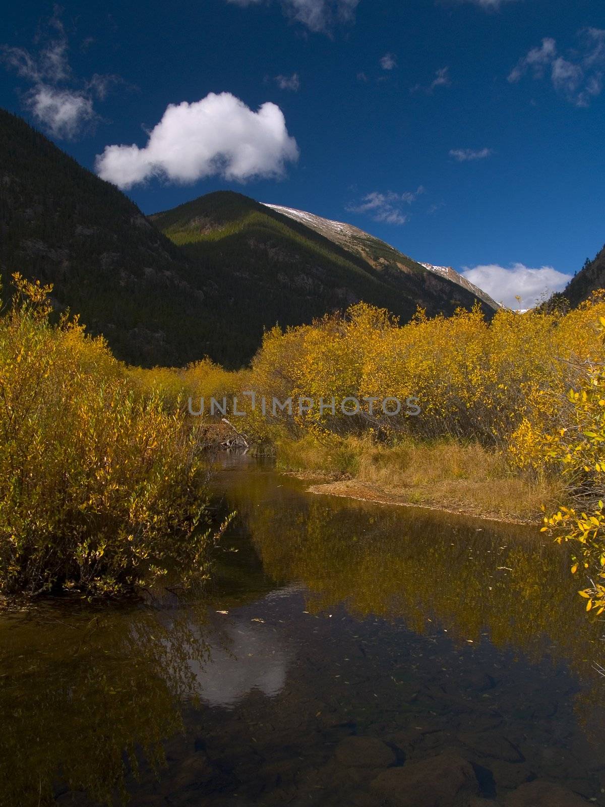 A stream runs though Rocky Mountain National Park near the Endovalley picnic area.