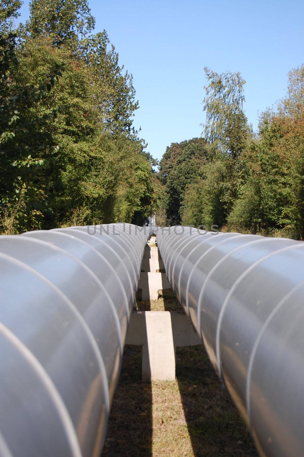 A gray pipeline crossing an old forest