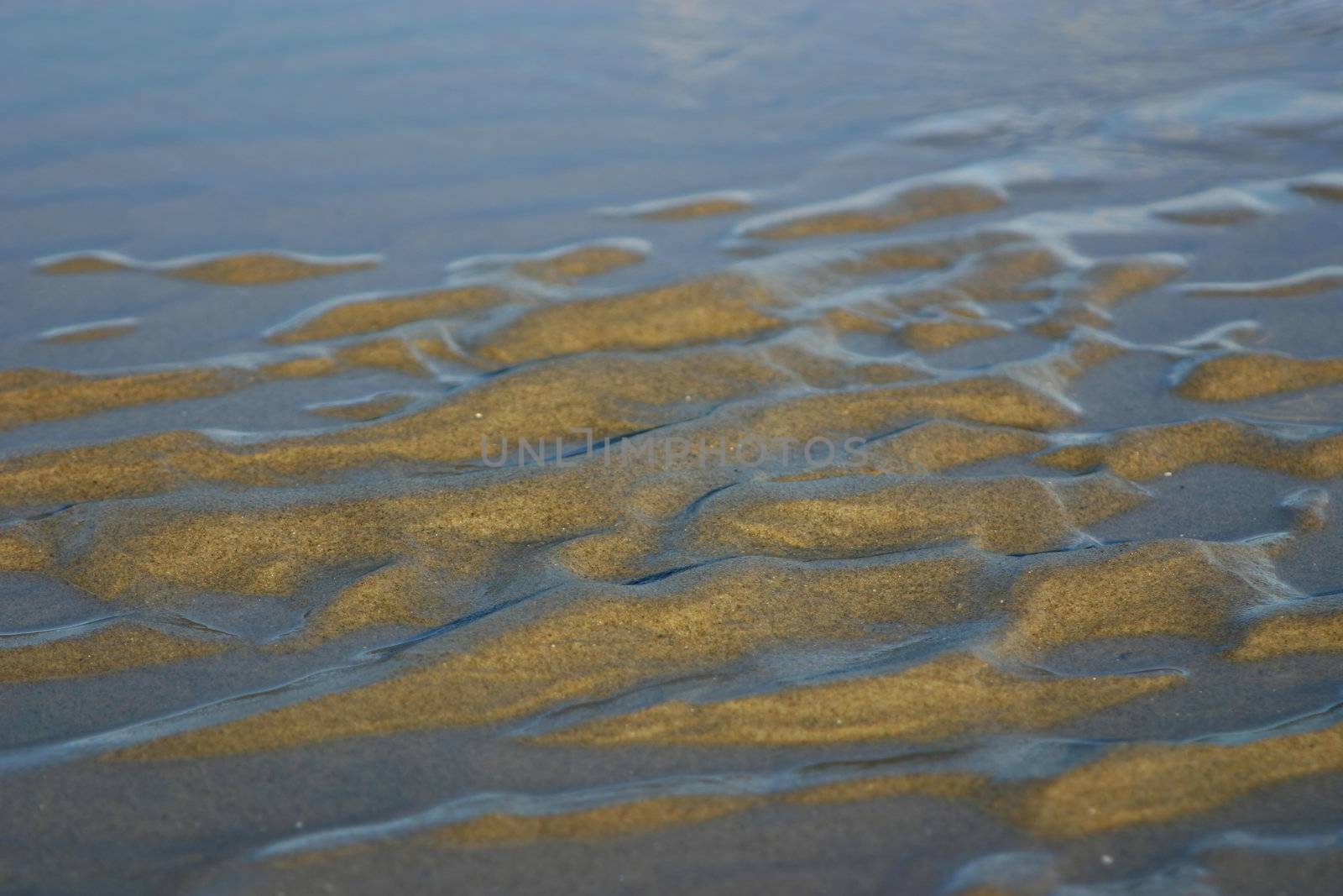 sand ripples from the waves/wind at the seashore