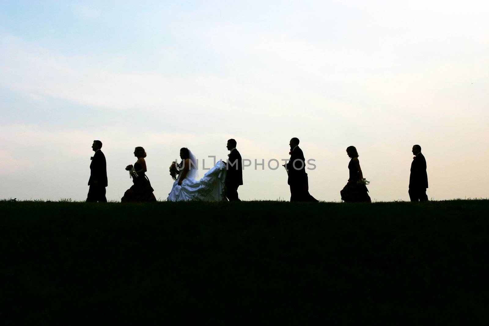 Silhouettes of a modern bridal party over a blue horizon.