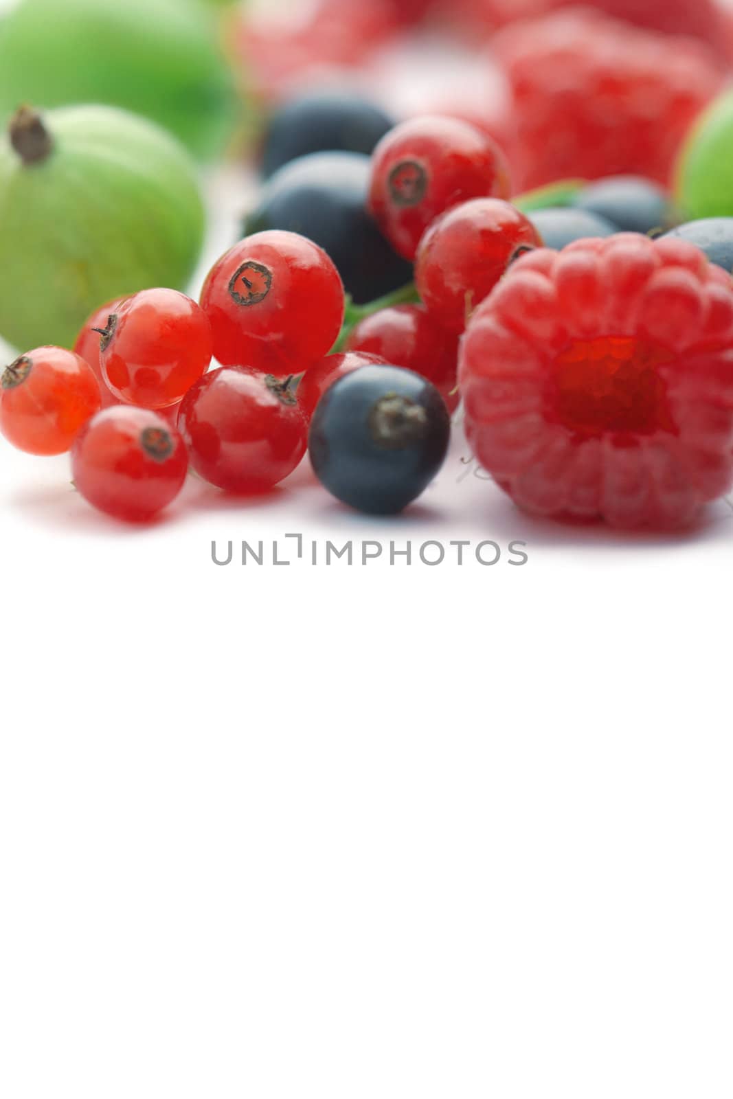 Spilled  mixed berries on white background whith a raspberry  in the foreground in focus.