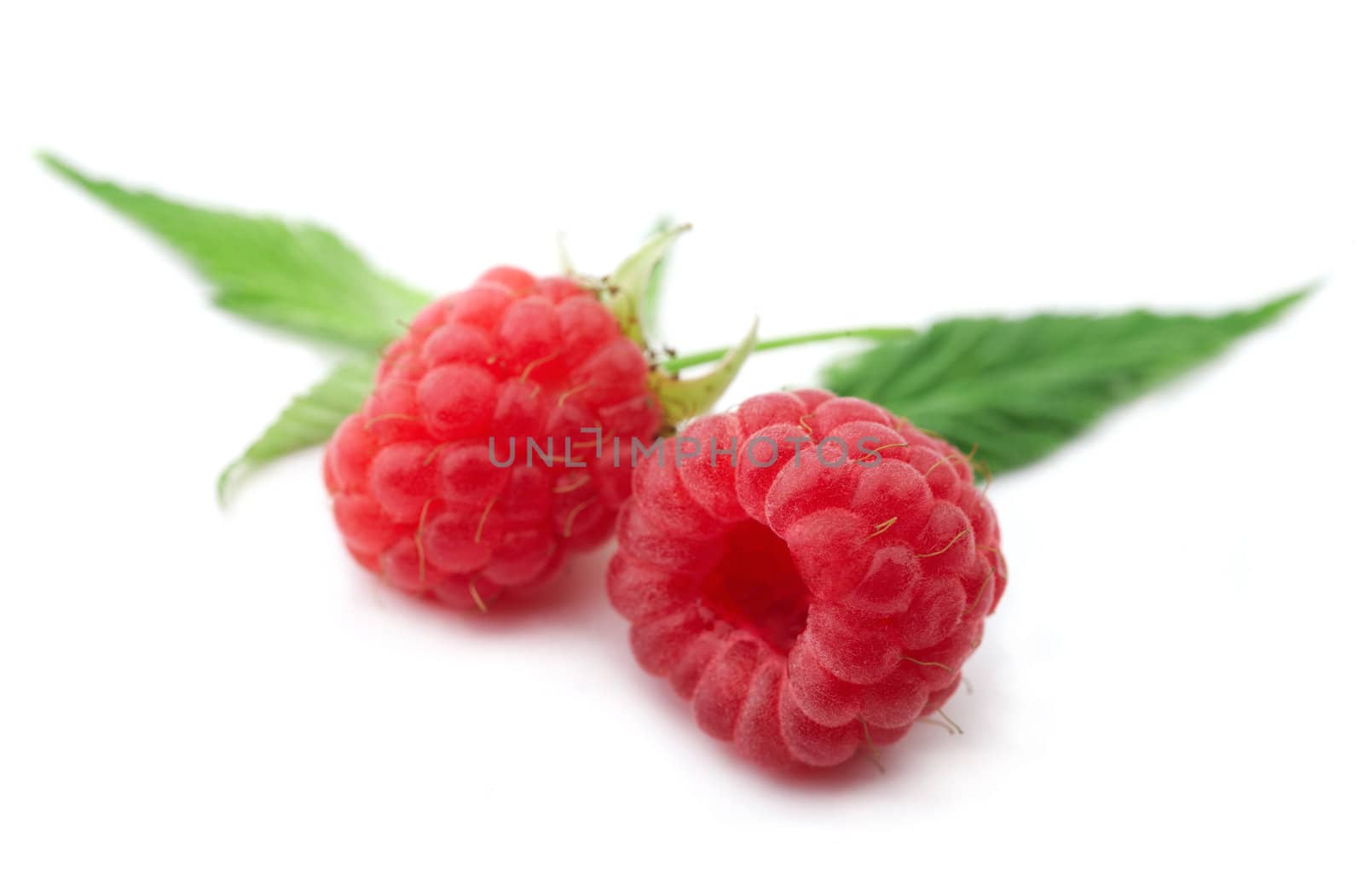 Raspberries by romanshyshak