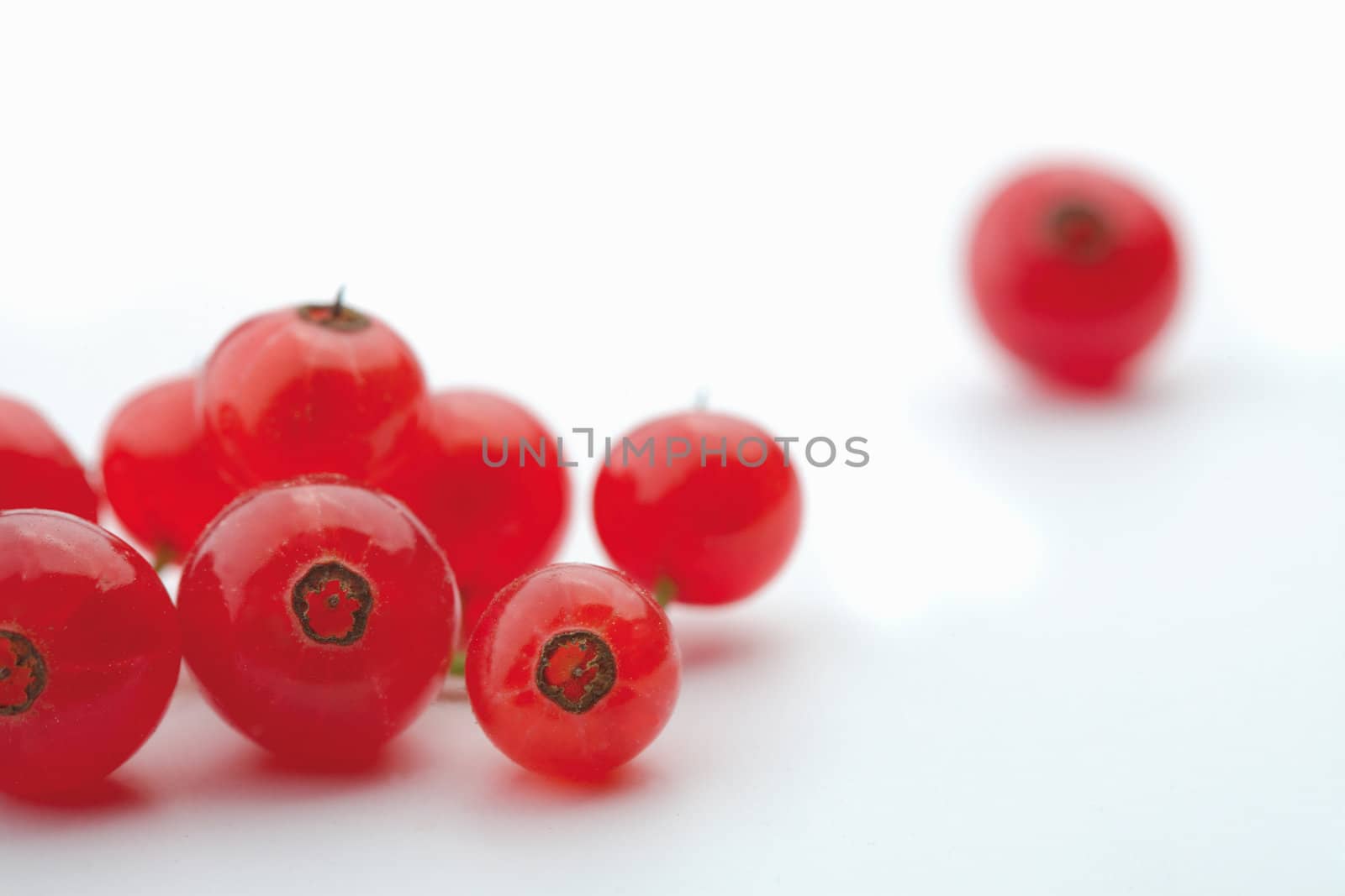 Red currant on white background