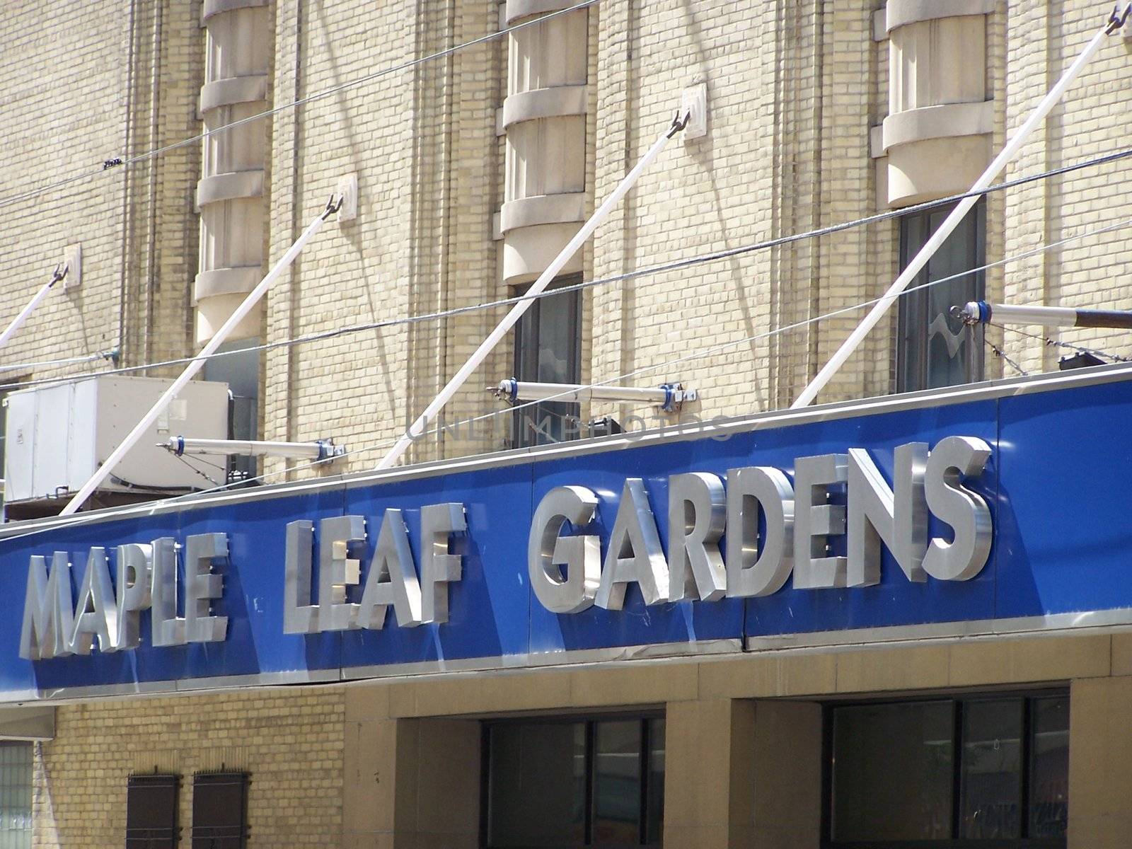 Maple Leaf Garden's Toronto, Canada by hicster