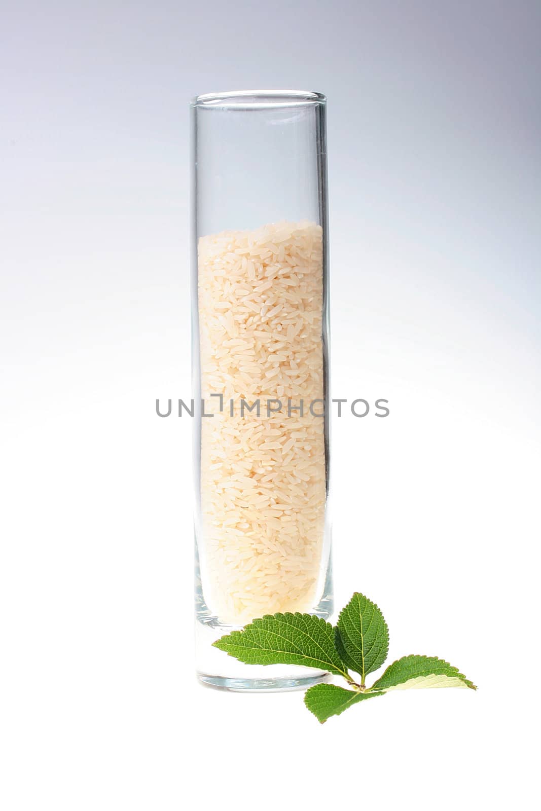 Rice grains in a high glass glass with a mint leaf.