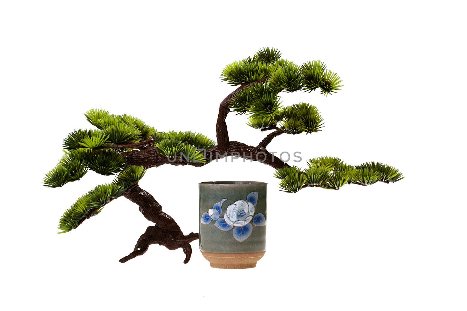 Ceramic cup with the Japanese vodka sake under small tree Bonsai.