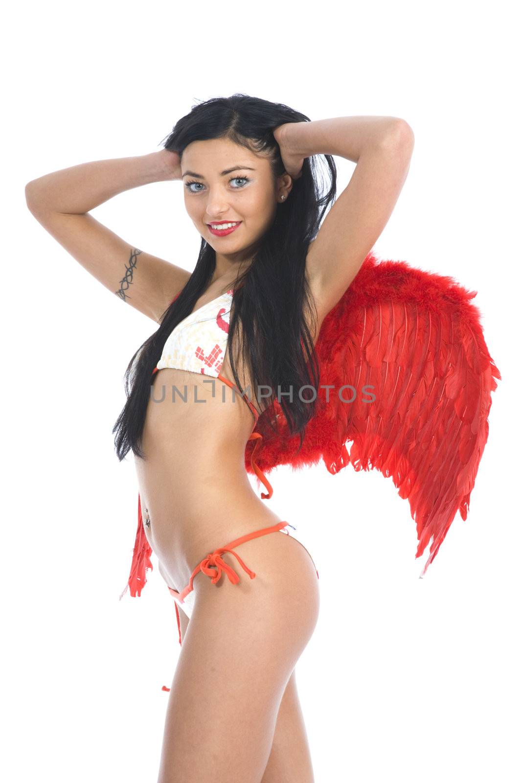 Sexual angel  on insulated background