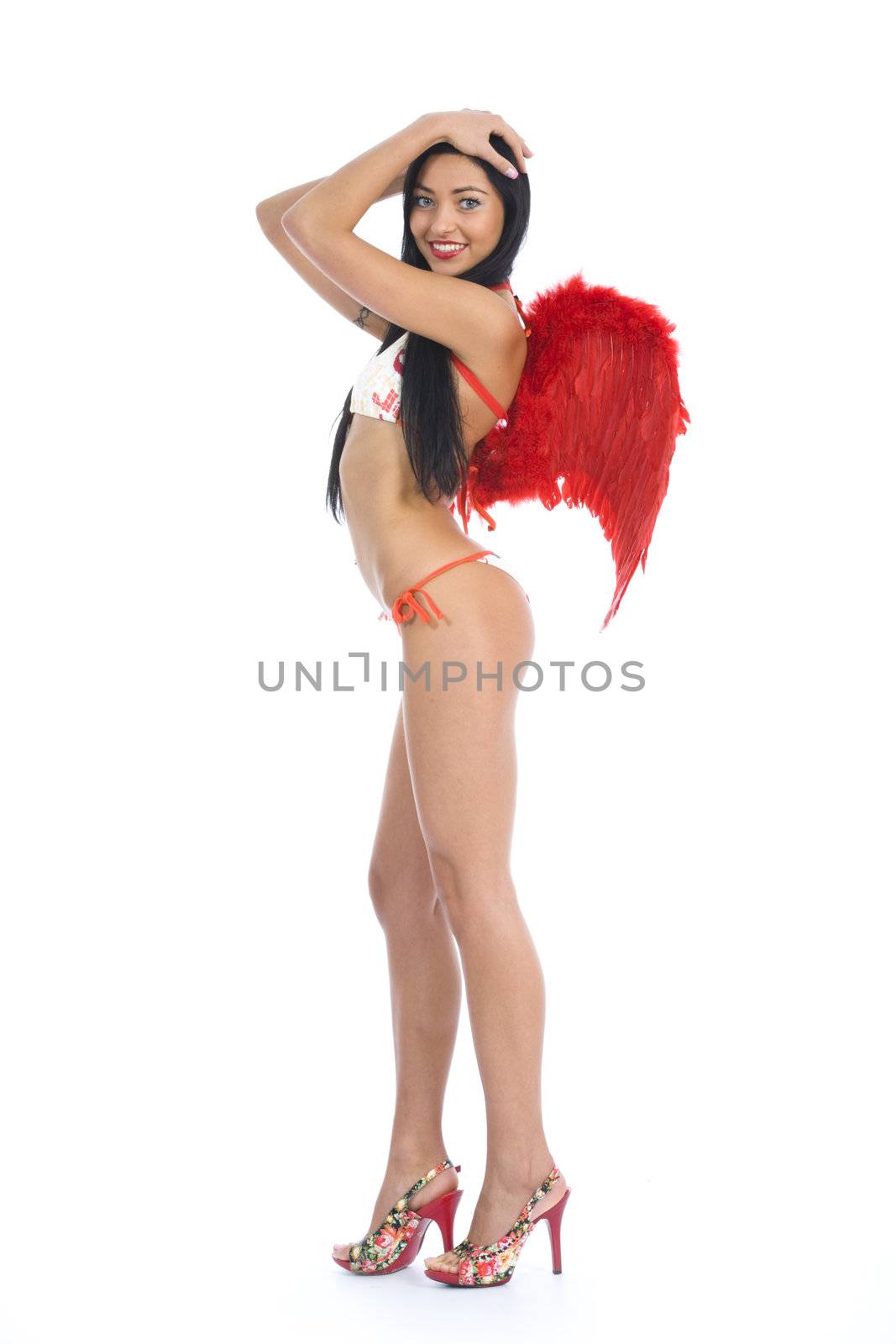Sexual angel  on insulated background