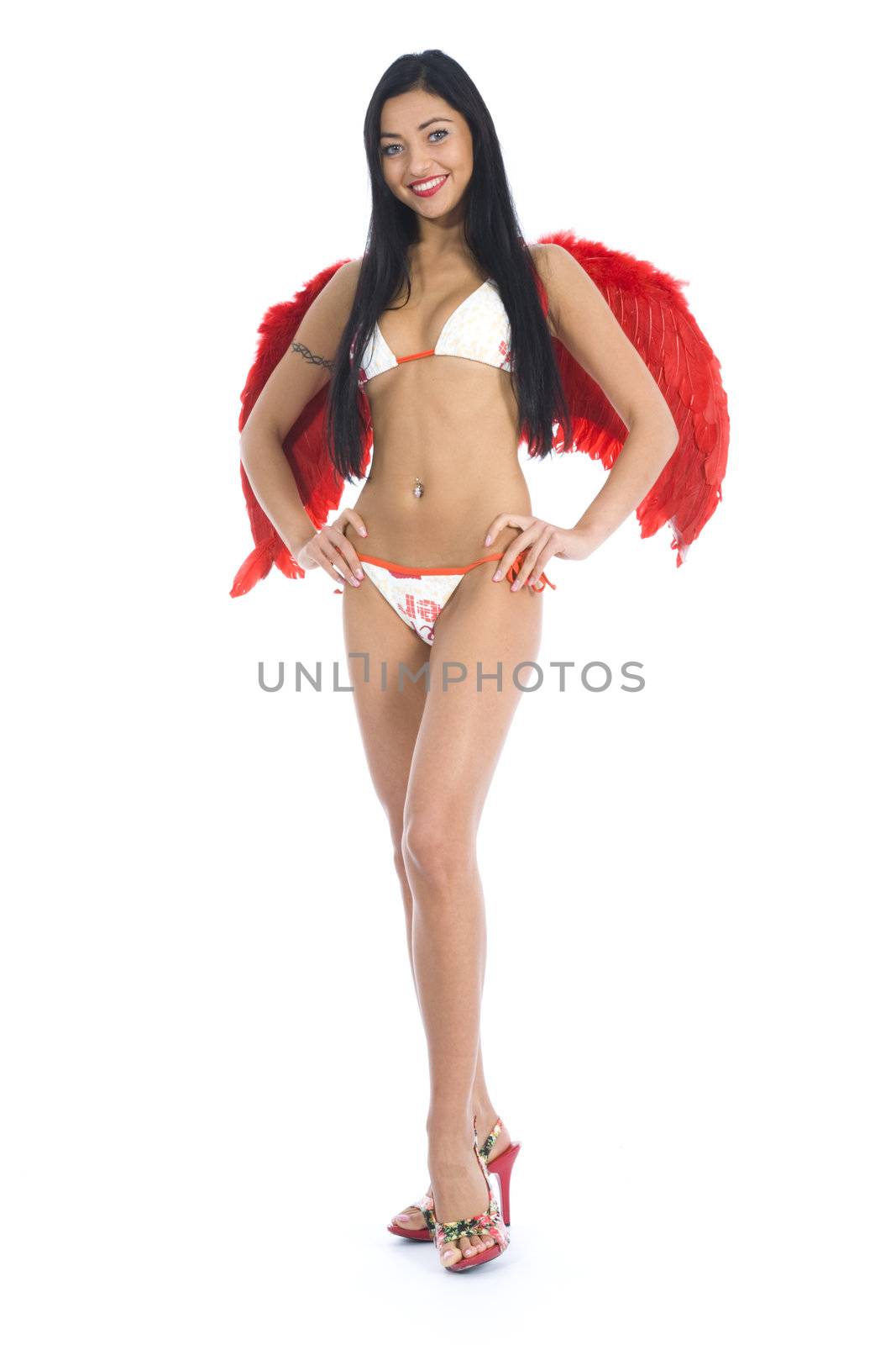 Sexual angel  on insulated background