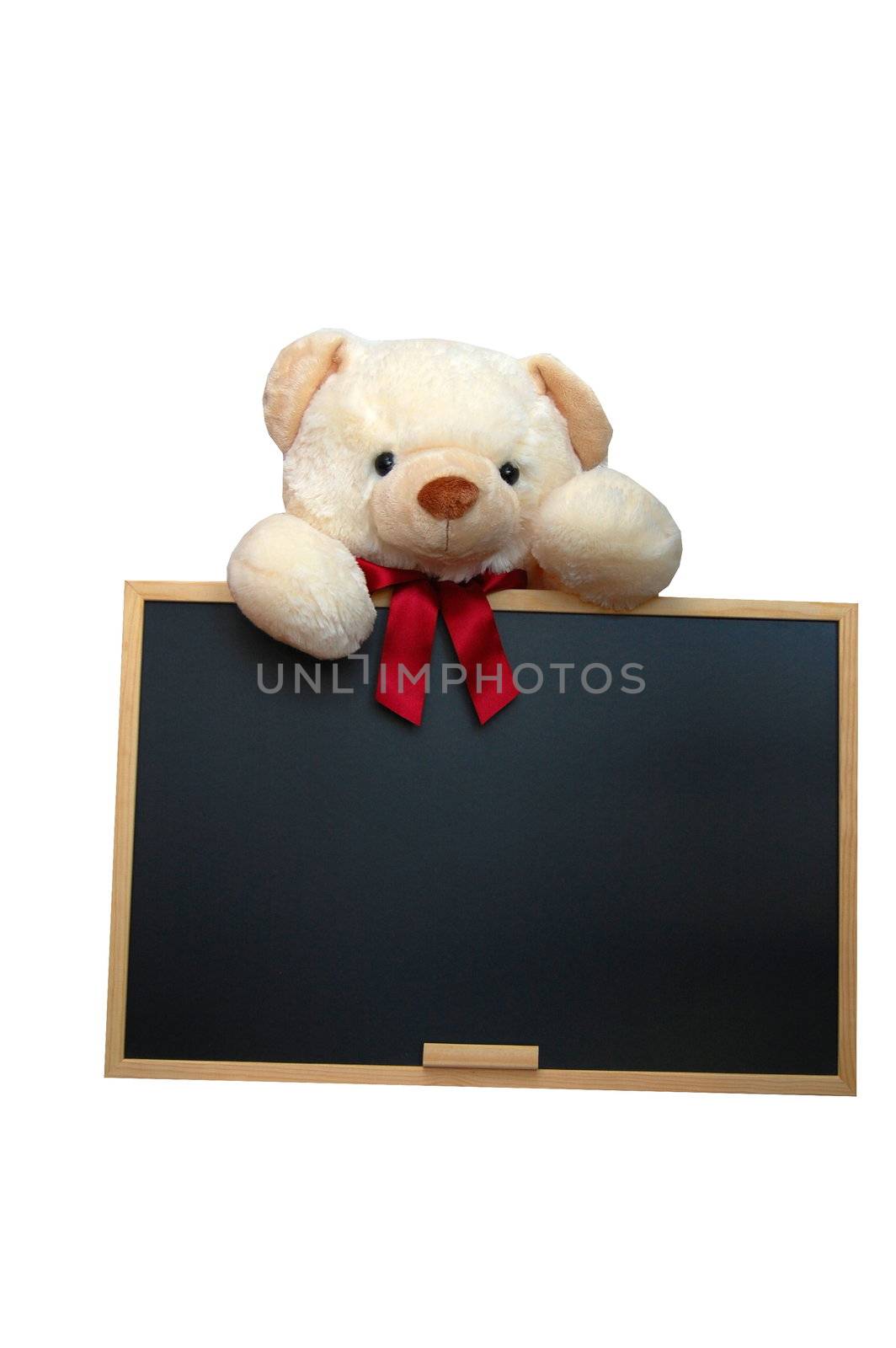 isolated teddy with empty blackboard on white background