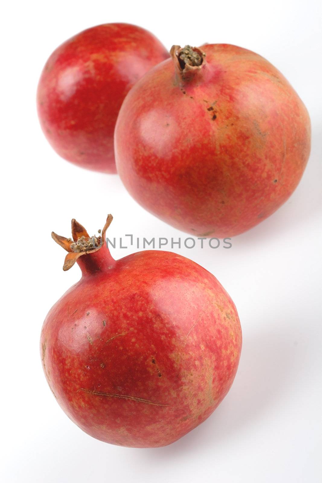 Fruits, Garnet by Astroid