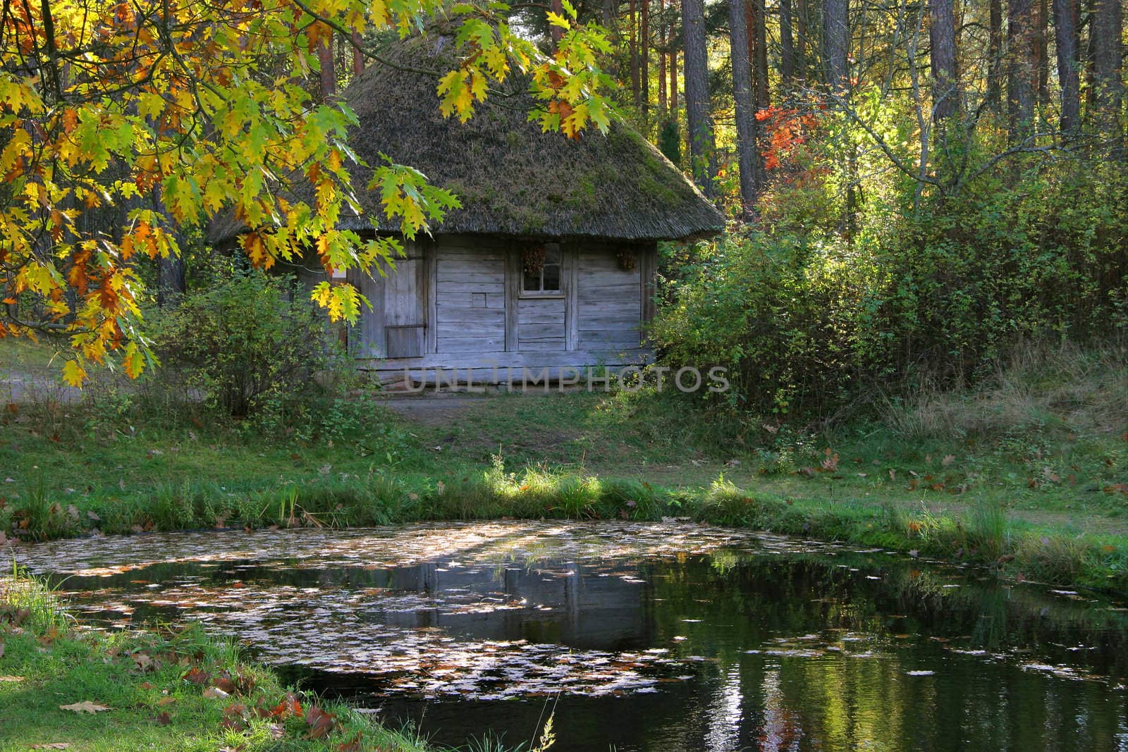 Old house at open-air museum in autumn, Latvia