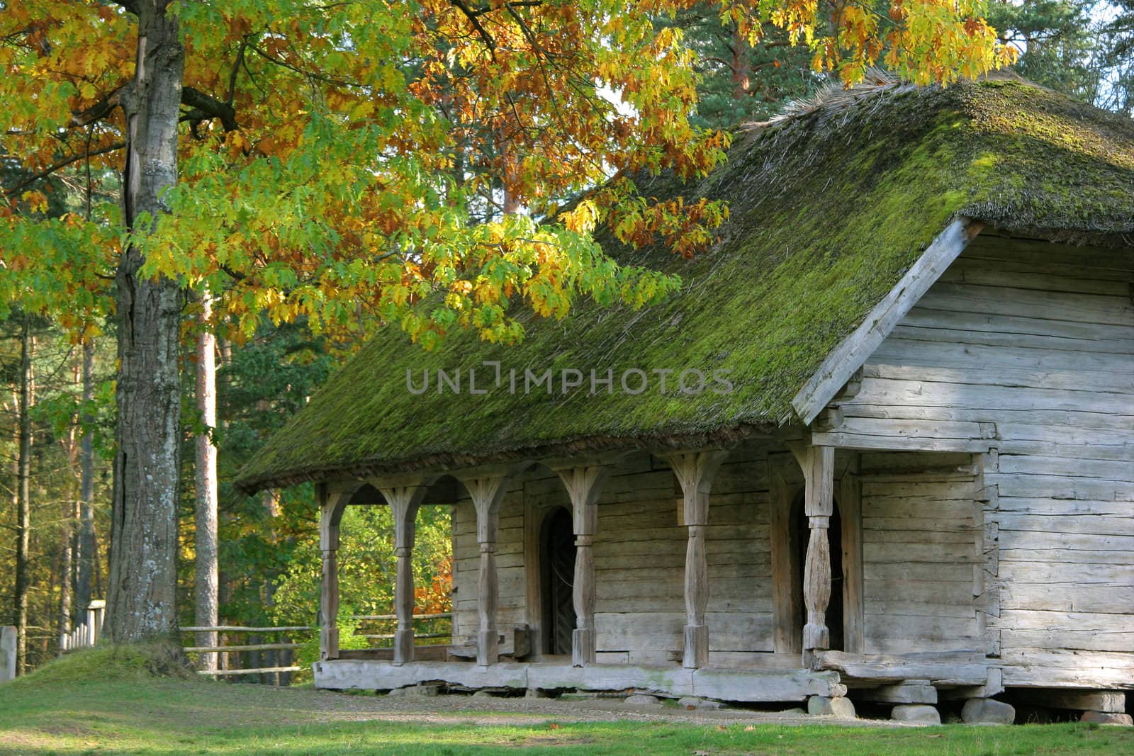 Old house at open-air museum in autumn, Latvia