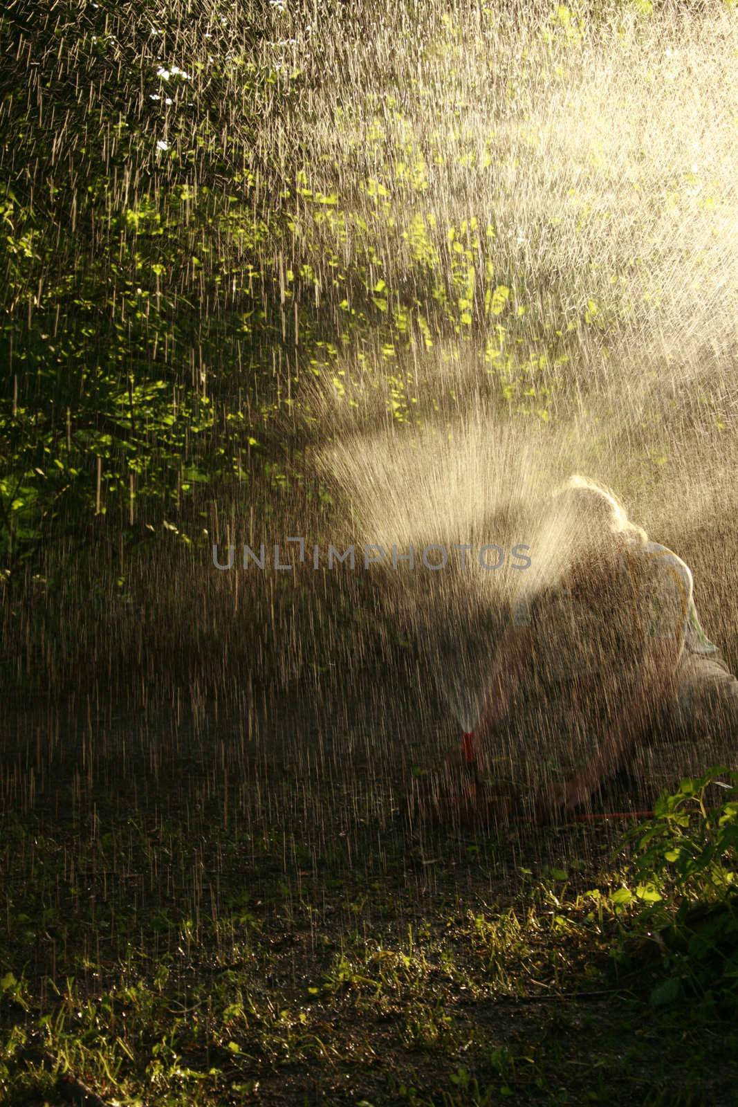 a man adjusting the water hose in his garden in a dry period.