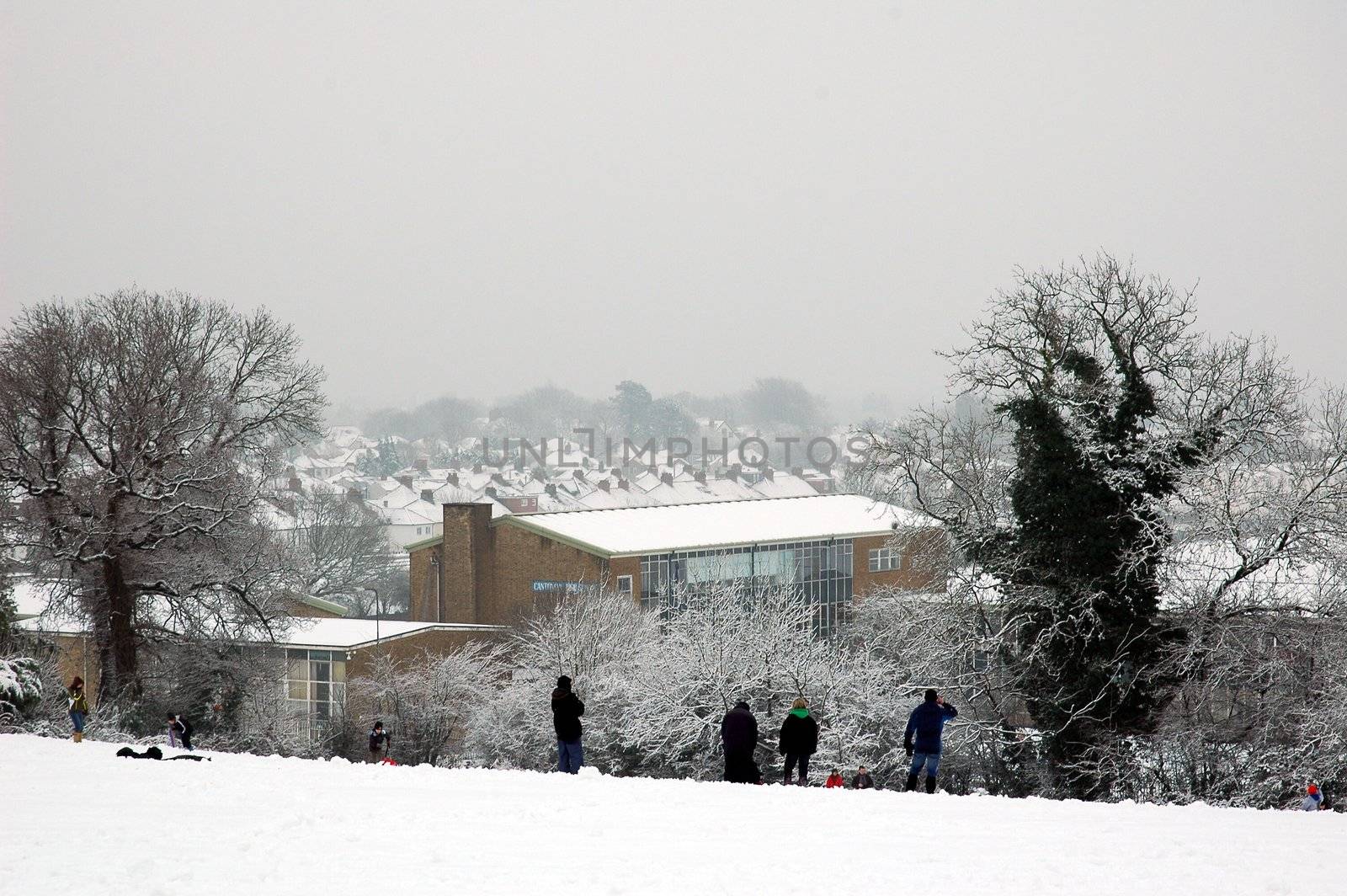Cardiff Faiwater park covered by snow, horizontally framed picture