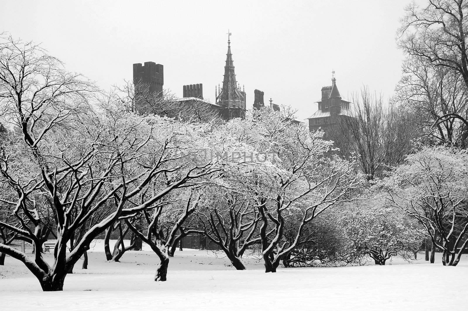 Cardiff's Bute park covered under snow with castle