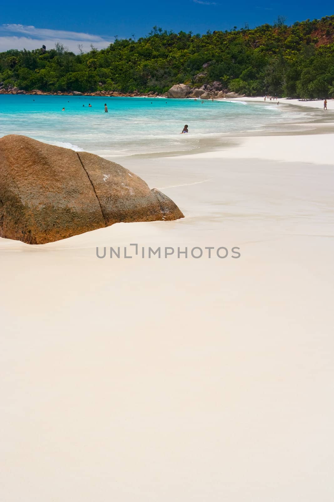 tropical beach with white sand